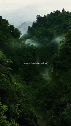 this and no internet