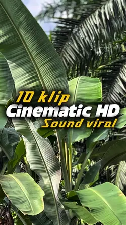 Cinematic HD 10klip