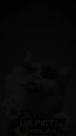 Trending Top Edit