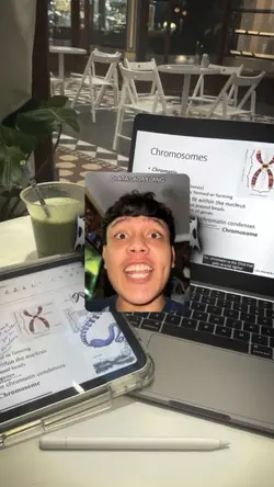 gappa gak punya ayng