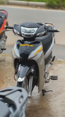 màu video