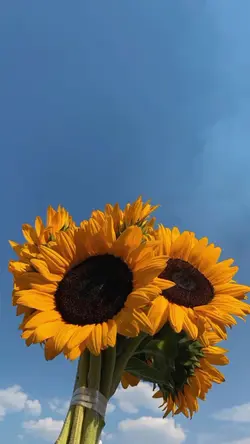 happy with you