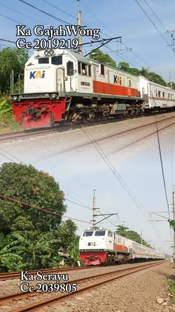 Kereta api melintas