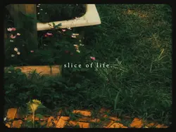 slice of life