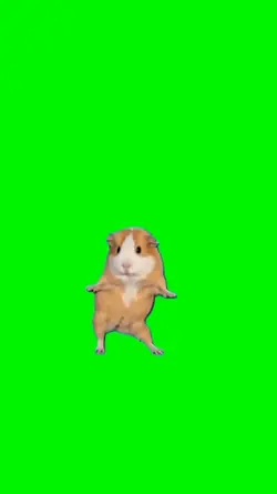 Hamster dancing