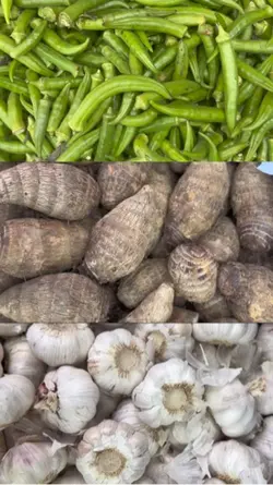 Hortifruti