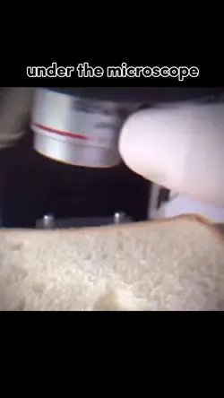 under microscope