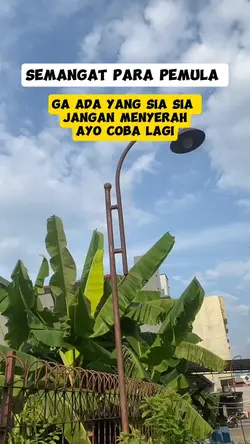semangat pemula 