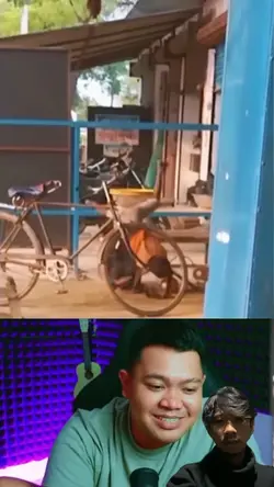 Mentahan Meme