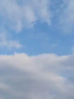 お知らせ動画