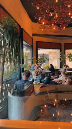 CAFEVLOG | VIBE