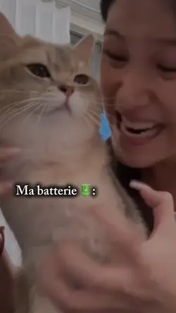 Batterie 🔋