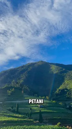 ENAK GA JADI PETANI