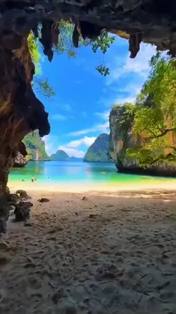 Island 🏝️🐬