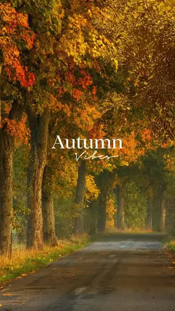 autumn vibes
