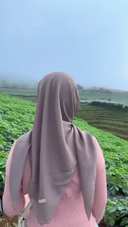 Dawai asmara