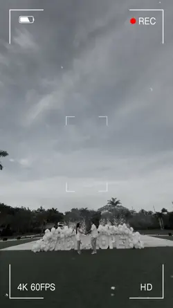 Gender Reveal