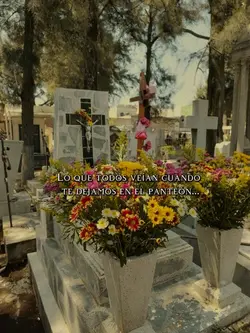 Te extraño papi🕊️💔