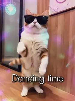 Animal dance
