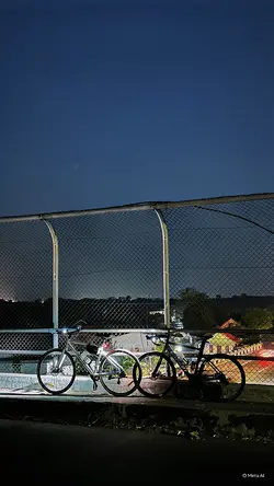 Gowes