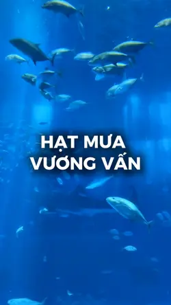 Slow nhạc cực cuốn