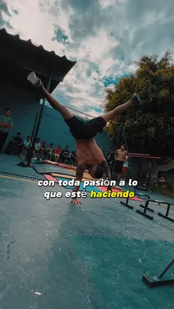 Disciplina