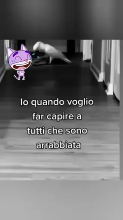 divertente 
