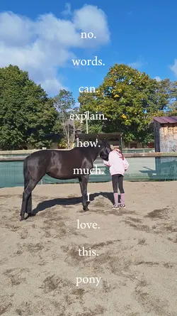 I love this pony