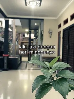 Bahan sw