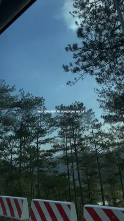 Đà Lạt❤️