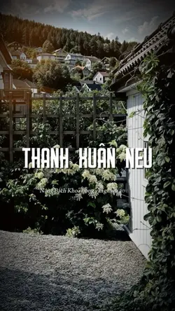 Thanh Xuân NEU