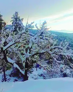 slow mo snow 