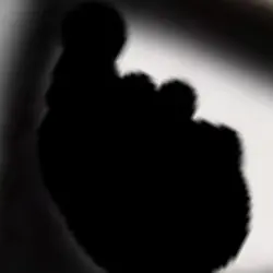 ハイライト消す奴