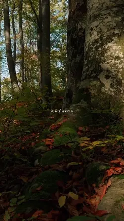 autumn