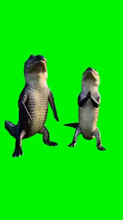dance croco