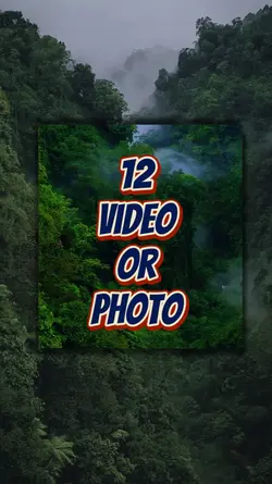 12 video or photo