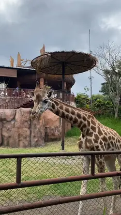 zoo day |