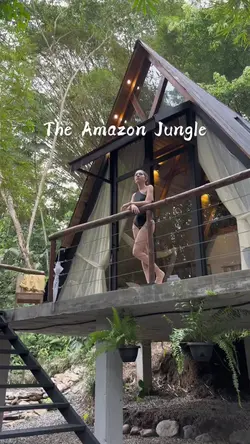 The Amazon Jungle