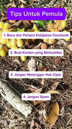 Tips untuk Pemula