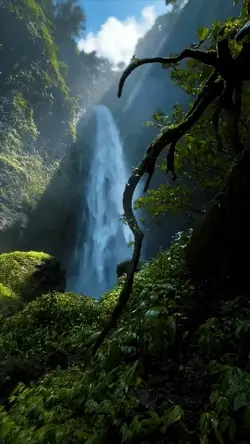 nature vibes