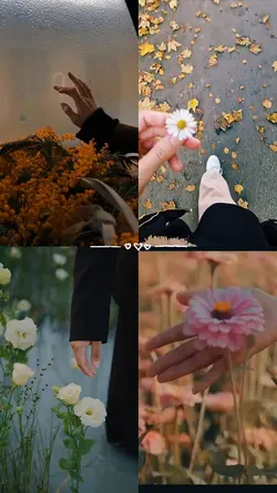beautiful moment