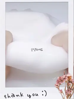 공약