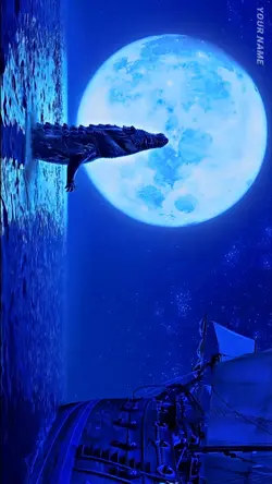 Movie free edit