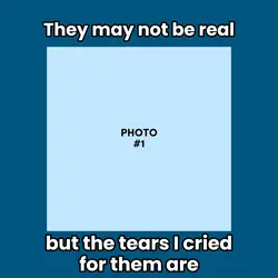 they may not be real
