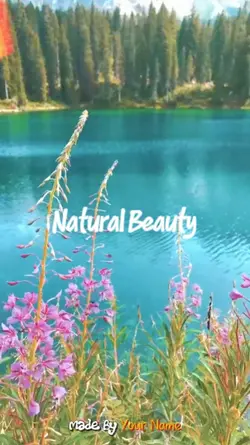 NATURAL BEAUTY 