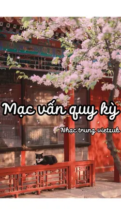 Mạc vấn quy kỳ