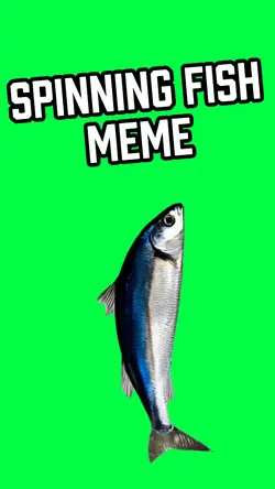 SPINNING FISH MEME