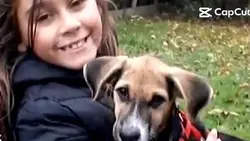 mon chien mv <3