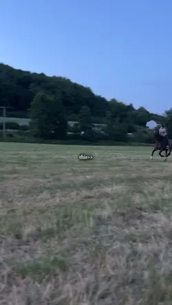 Let him run😍