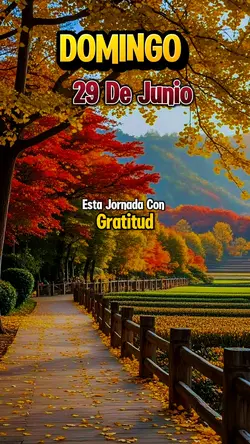 Domingo 29 de Junio